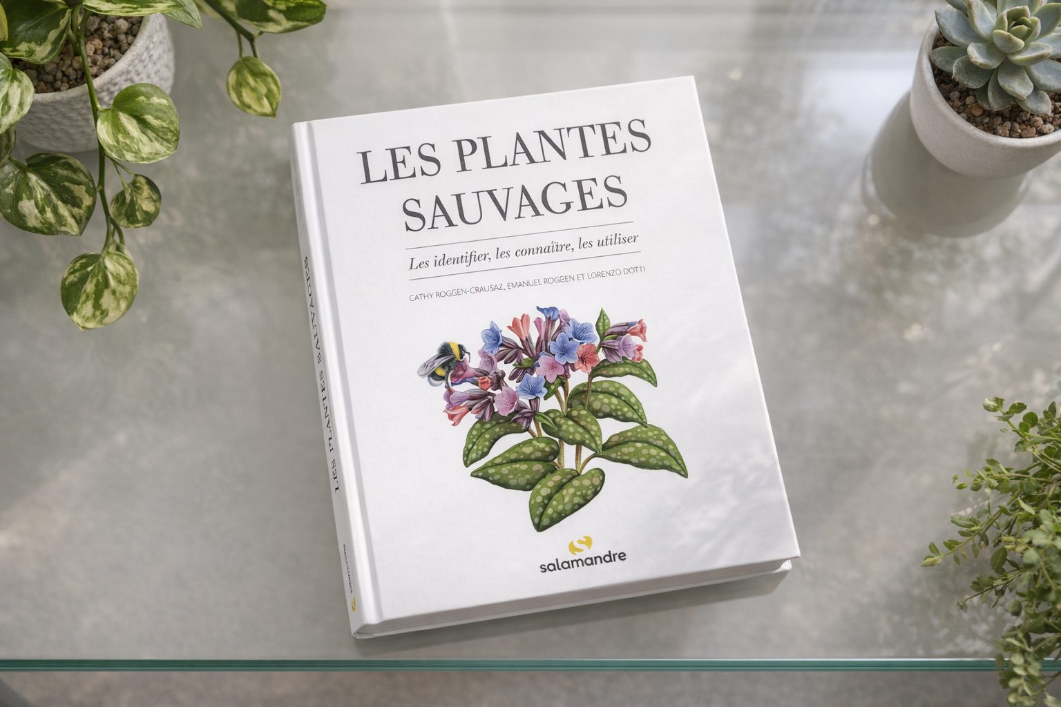 livre sur les plantes sauvages